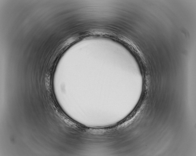 X0000110720825200907241205