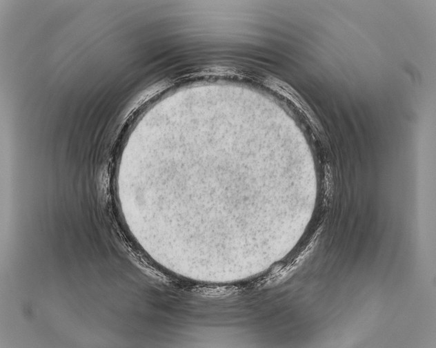 X0000110720826200907241205