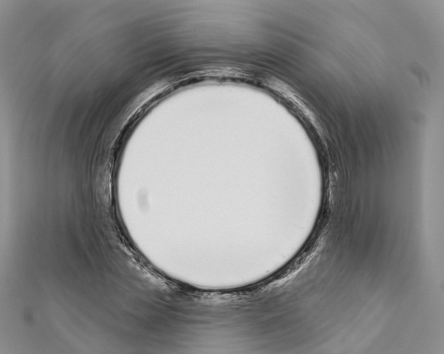 X0000110720829200907241205