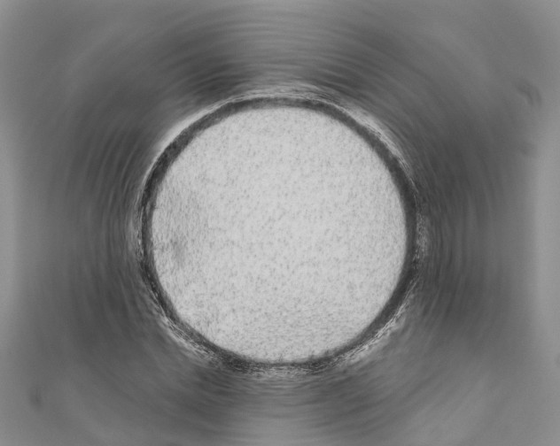 X0000110720830200907241205