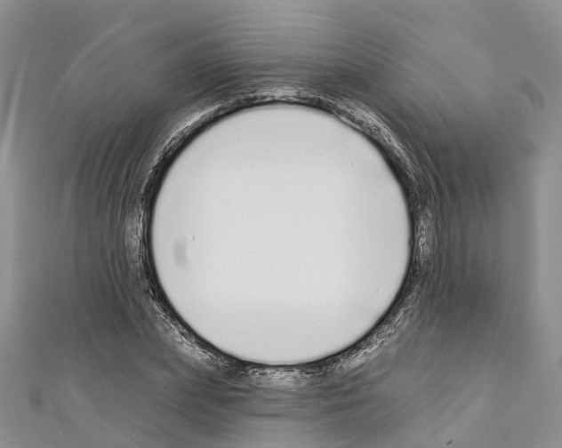 X0000110720831200907241205