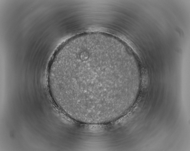 X0000110720832200907241205