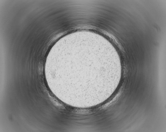 X0000110720833200907241205