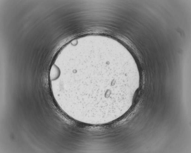 X0000110720834200907241205