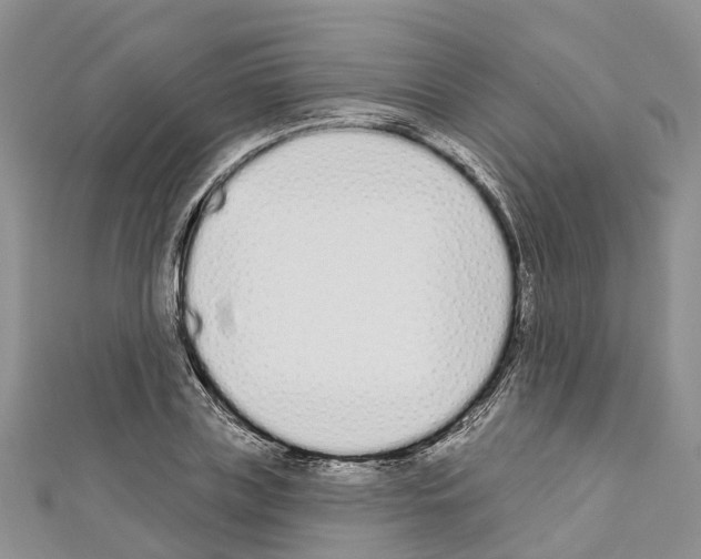 X0000110720835200907241205