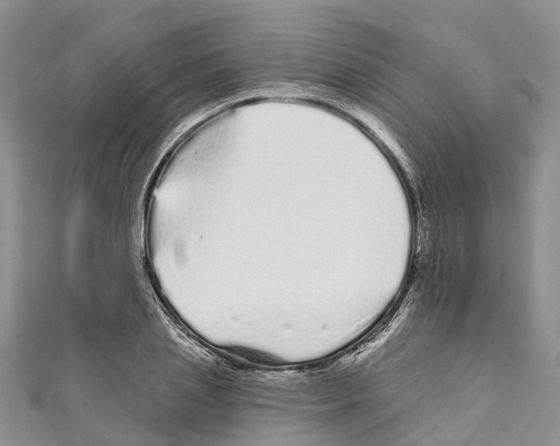 X0000110720837200907241205