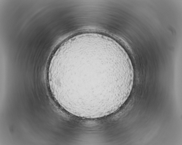 X0000110720839200907241205