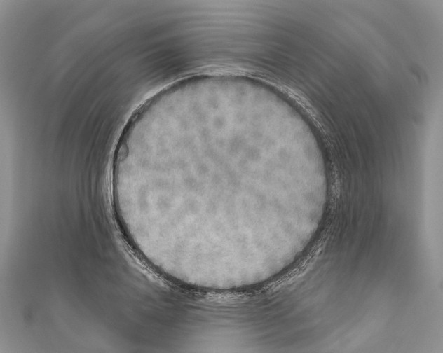 X0000110720840200907241205