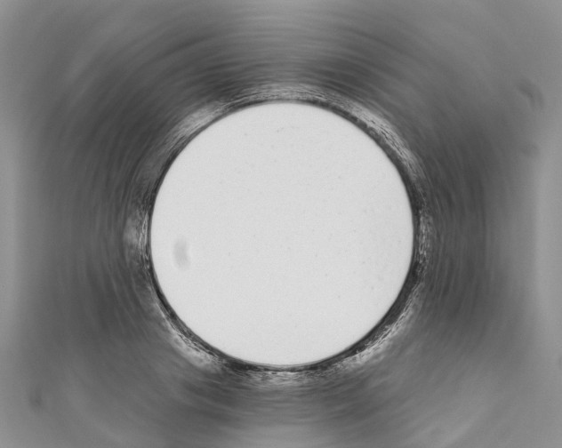 X0000110720841200907241205