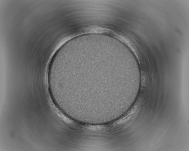 X0000110720843200907241205