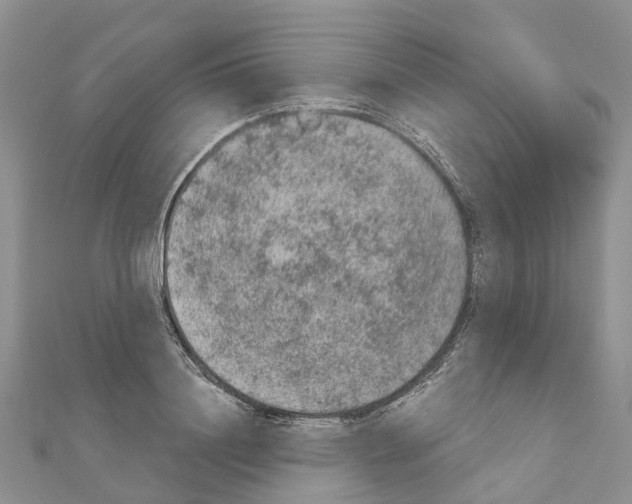 X0000110720844200907241205