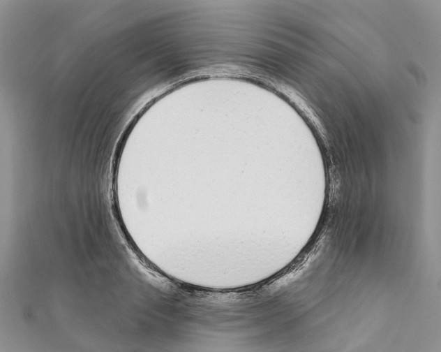 X0000110720845200907241205