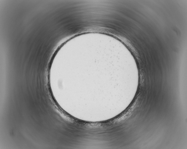 X0000110720846200907241205