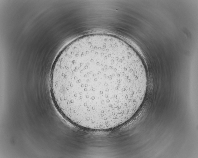 X0000110720847200907241205