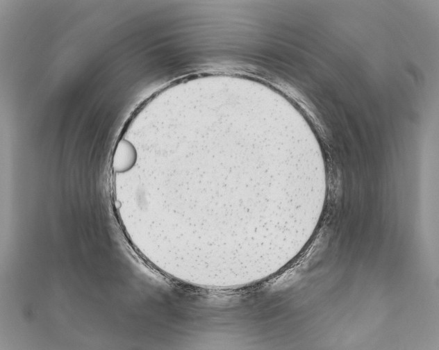 X0000110720848200907241205