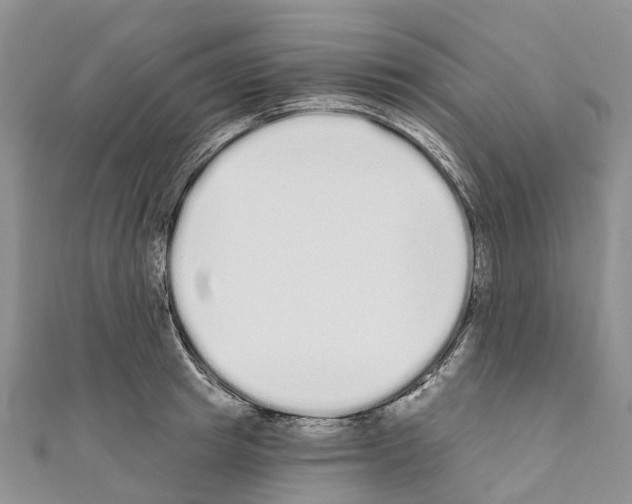 X0000110720849200907241205