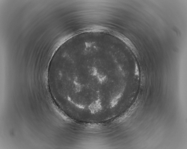 X0000110720850200907241205