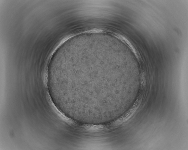 X0000110720851200907241205