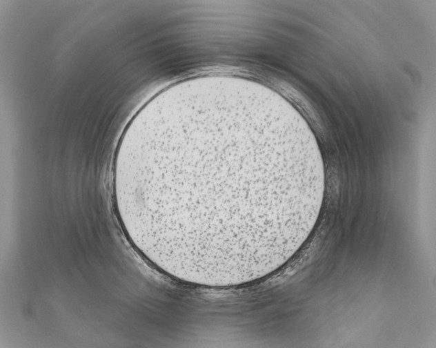 X0000110720852200907241205