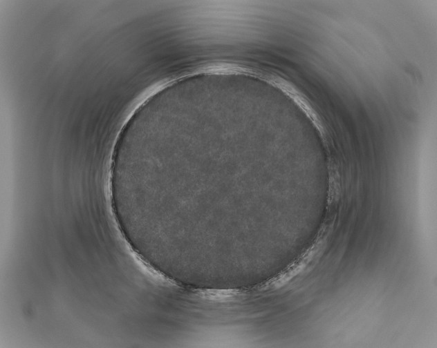 X0000110720853200907241205