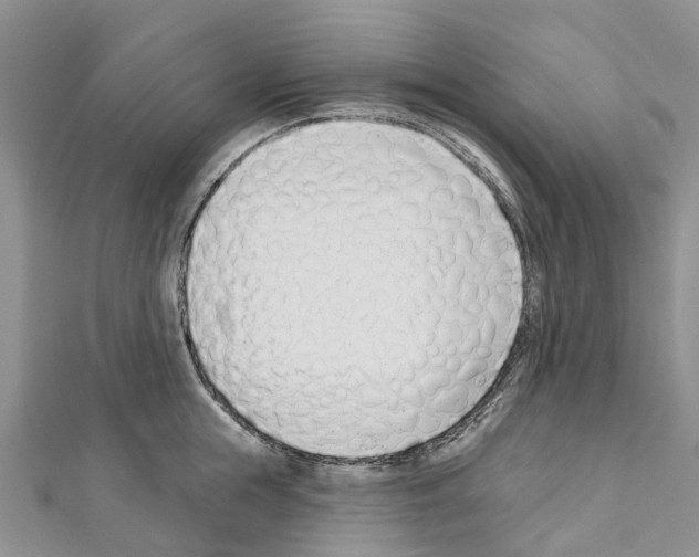 X0000110720855200907241205