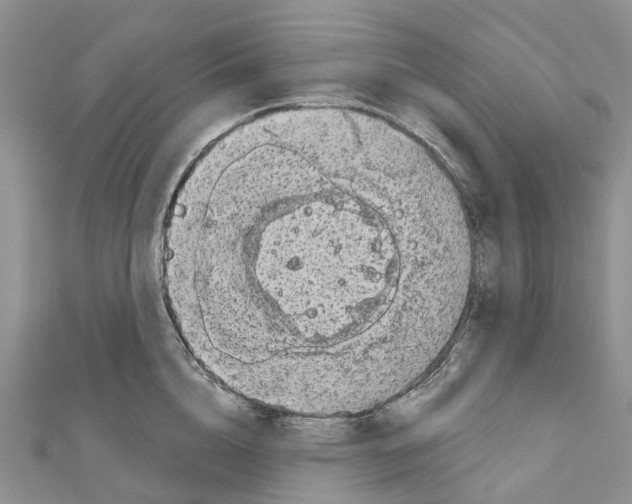 X0000110720856200907241205