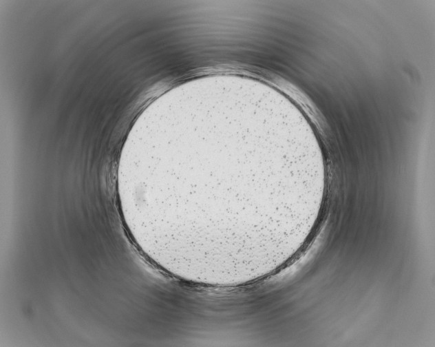 X0000110720857200907241205