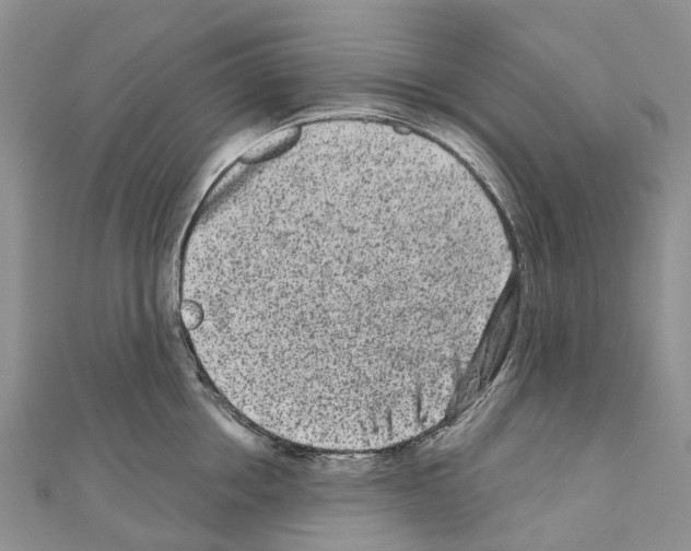 X0000110720858200907241205