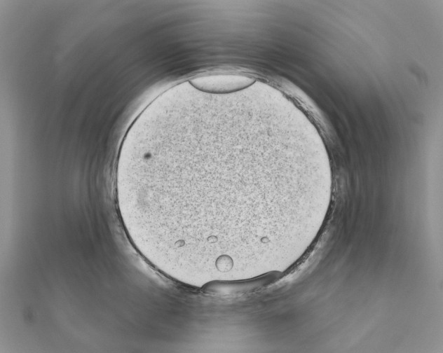 X0000110720860200907241205