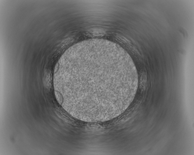 X0000110720866200907241205