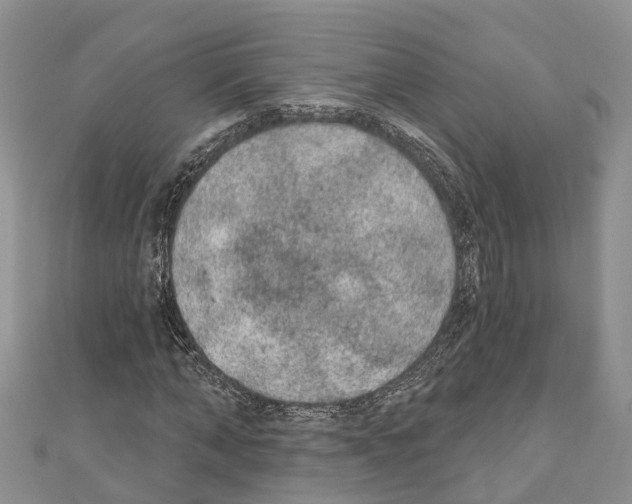 X0000110720870200907241205