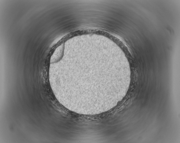 X0000110720871200907241205