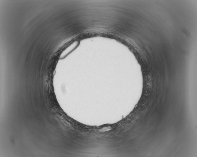 X0000110720872200907241205