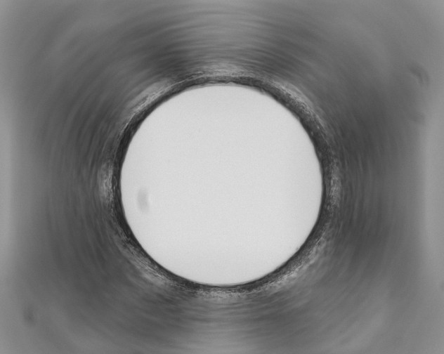 X0000110720873200907241205