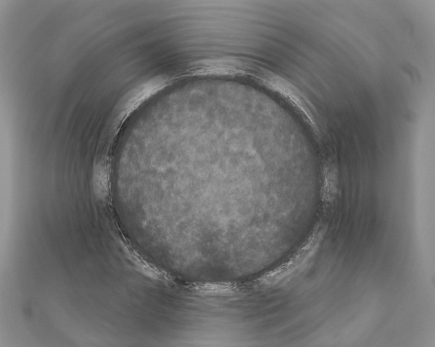 X0000110720874200907241205