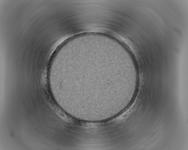 X0000110720875200907241205