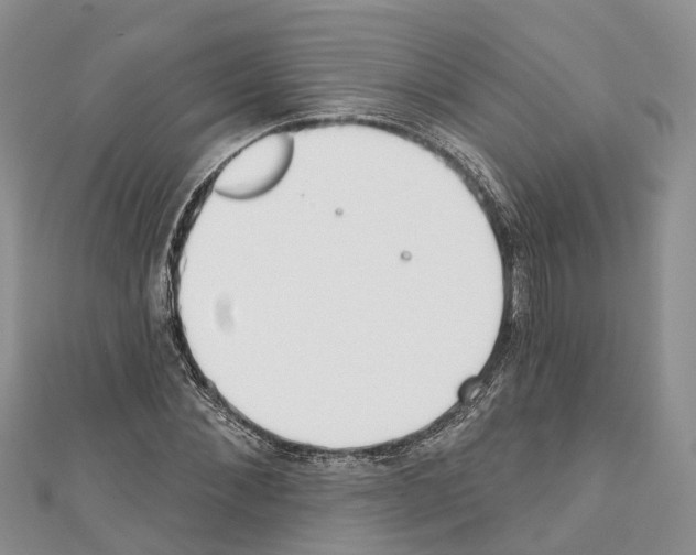 X0000110720876200907241205