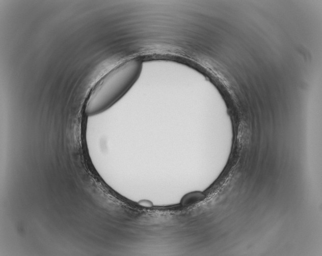 X0000110720877200907241204