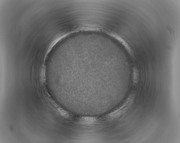 X0000110720878200907241204