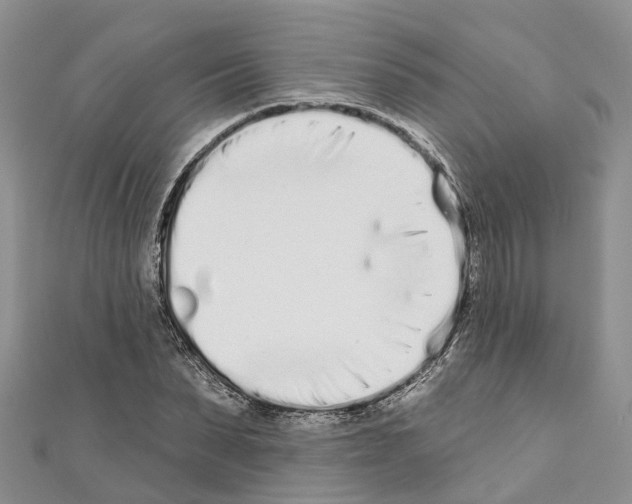 X0000110720879200907241204