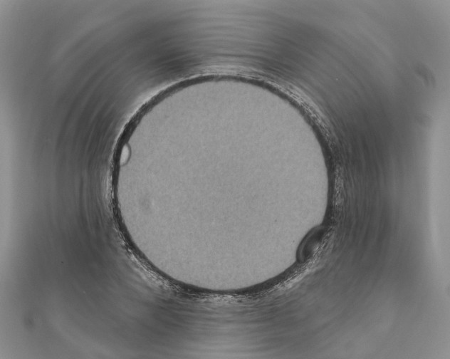 X0000110720880200907241204