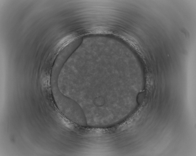 X0000110720881200907241204