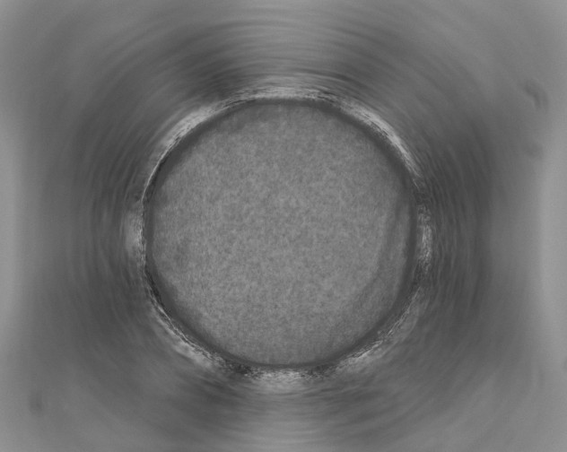 X0000110720882200907241204