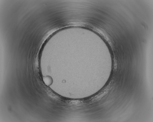 X0000110720883200907241204