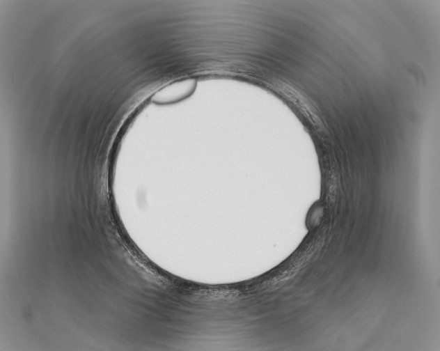 X0000110720884200907241204