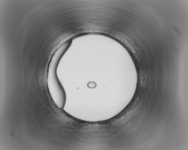 X0000110720885200907241204