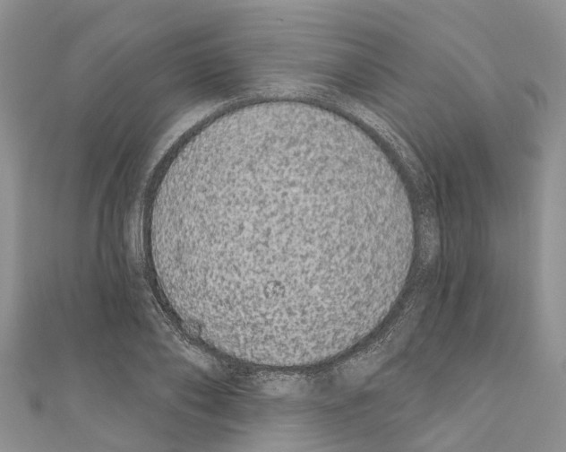 X0000110720886200907241204