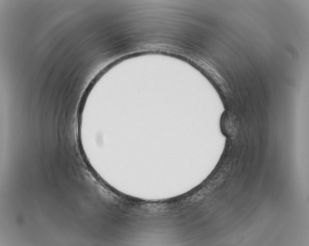 X0000110720888200907241204