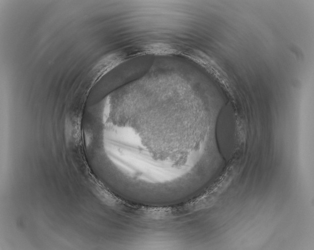 X0000110720889200907241204