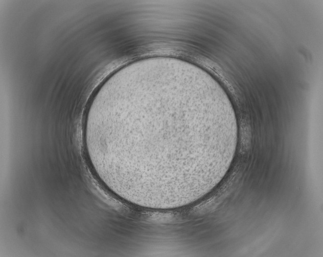 X0000110720890200907241204